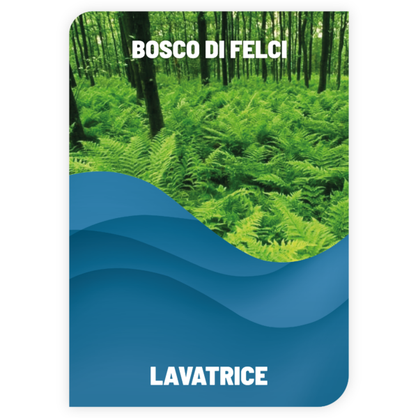 Lavatrice Bosco di Felci