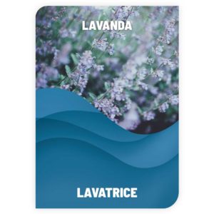 Ammorbidente Lavanda - Meglio Sfuso