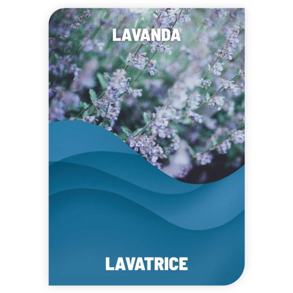 Lavatrice Lavanda