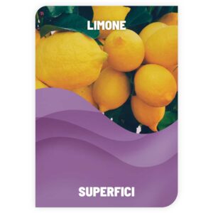 Lavapiatti Limone - Meglio Sfuso